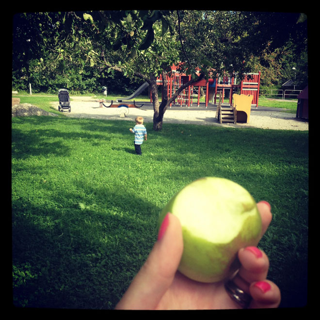 appeltrad